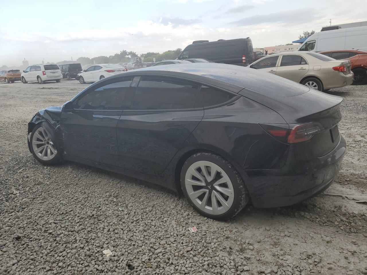 Lot #2996566516 2021 TESLA MODEL 3