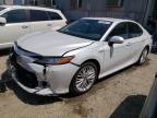 2020 TOYOTA CAMRY XLE - 4T1F31AK4LU531556