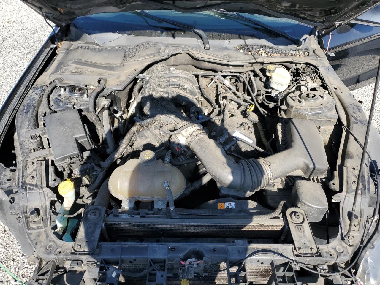 1FA6P8AM8G5328257 2016 Ford Mustang