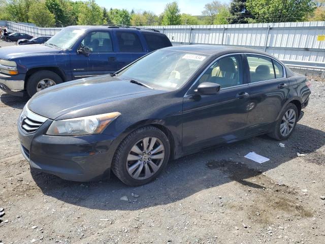 Lot #2535880860 2011 HONDA ACCORD EX salvage car