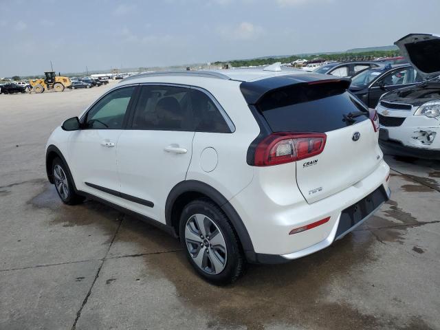 2019 Kia Niro Fe VIN: KNDCB3LC4K5261491 Lot: 53794214