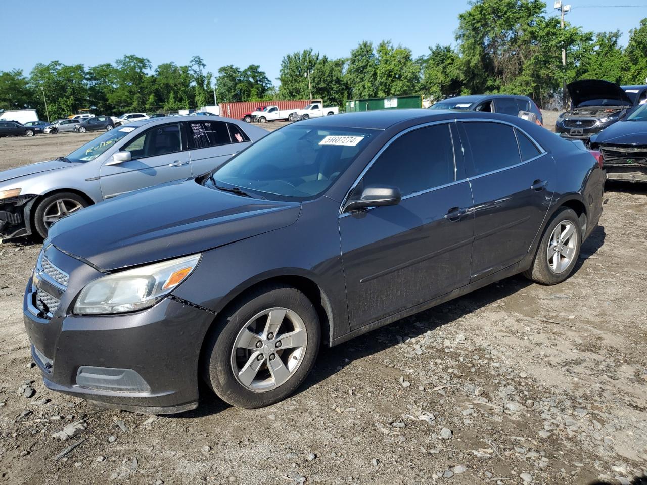 1G11B5SA7DF251515 2013 Chevrolet Malibu Ls