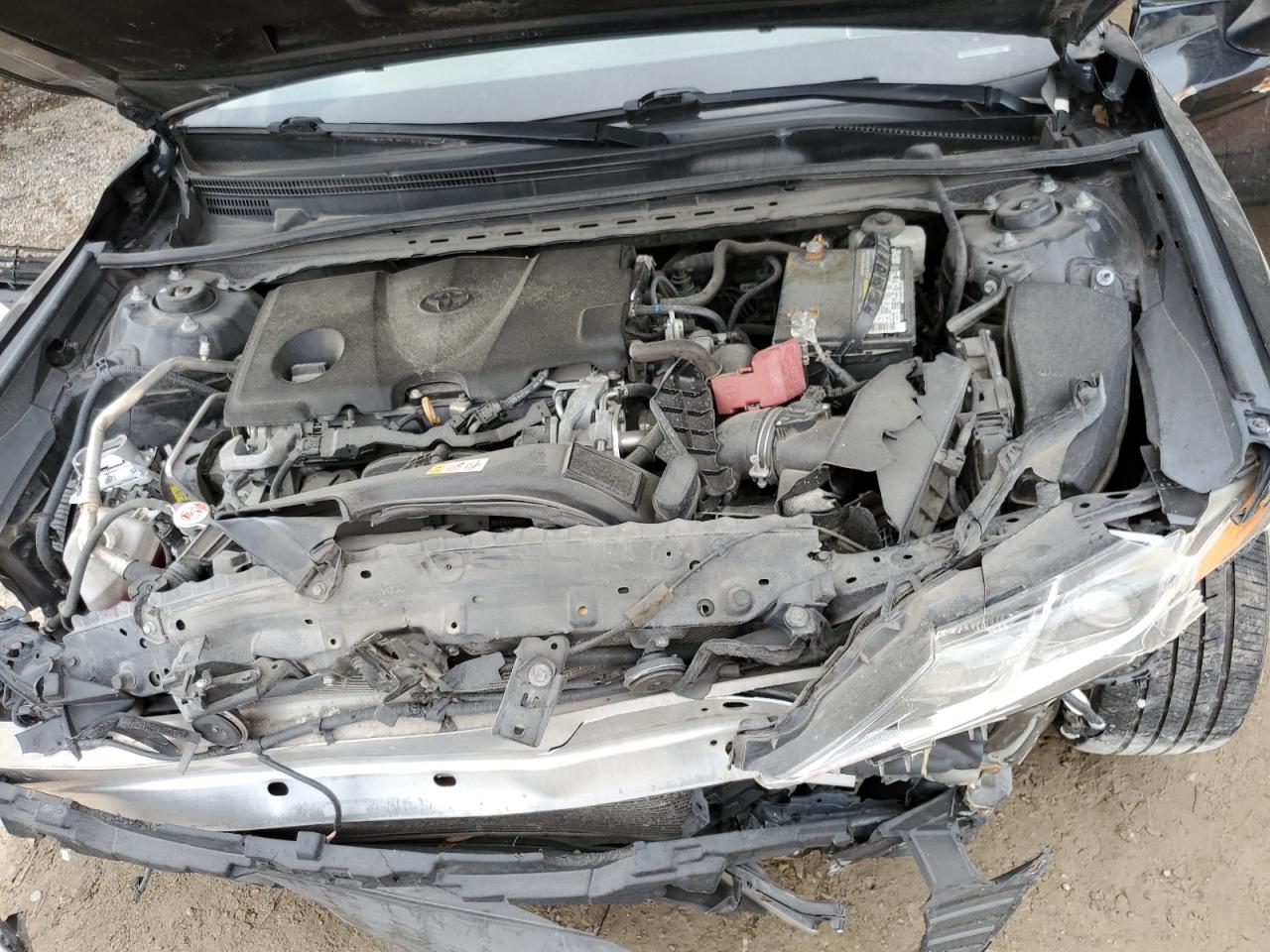 4T1B11HK6KU712392 2019 Toyota Camry L