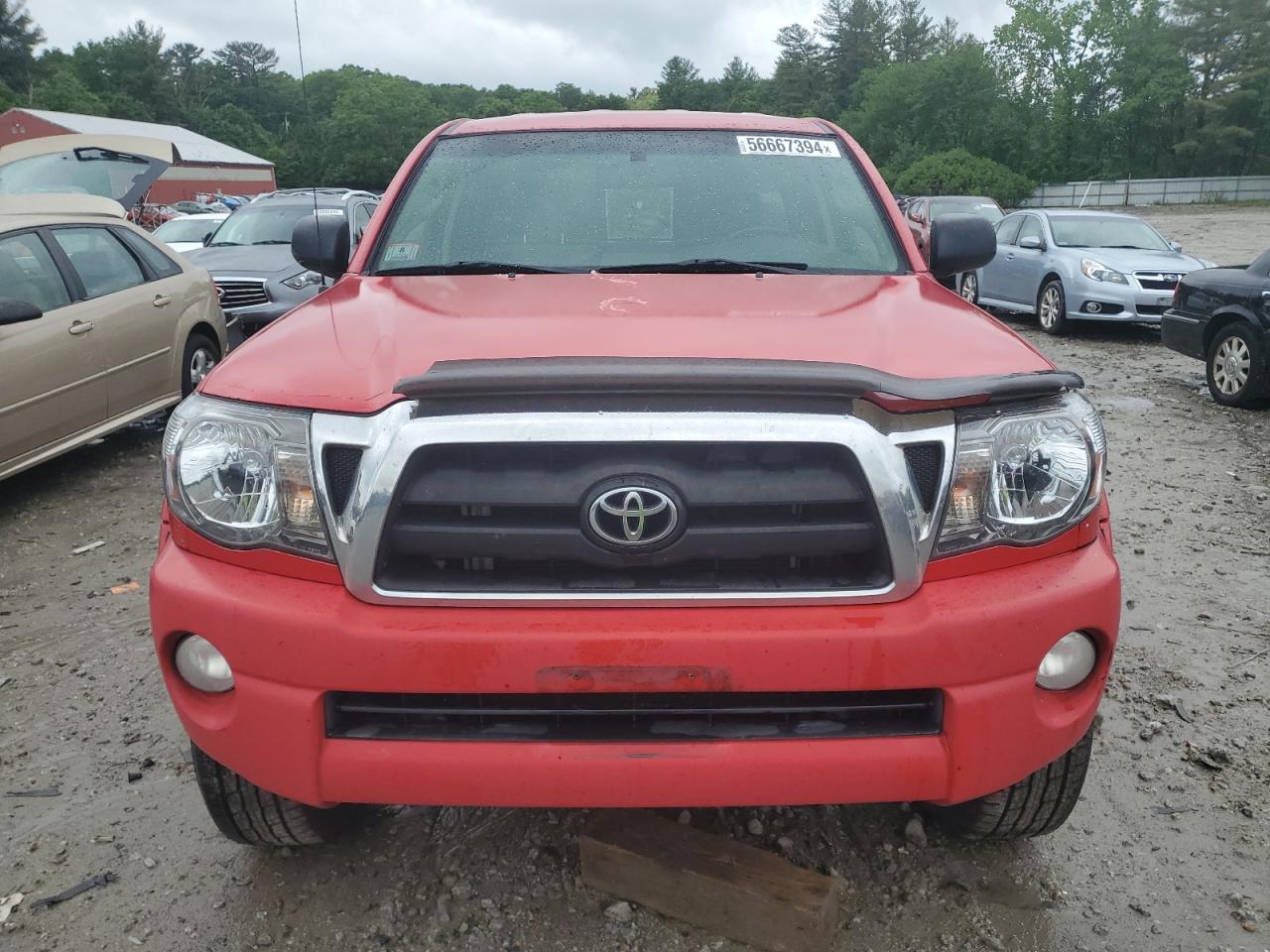 5TEUU42N26Z207956 2006 Toyota Tacoma Access Cab