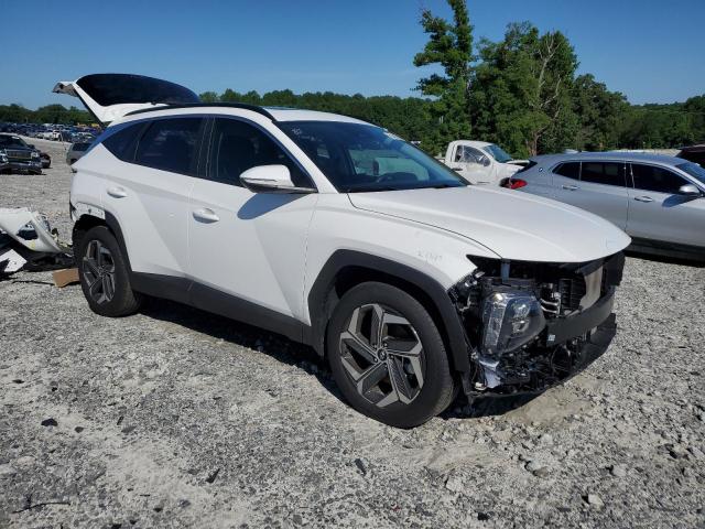 2023 Hyundai Tucson Sel VIN: 5NMJF3AE3PH248395 Lot: 56406534