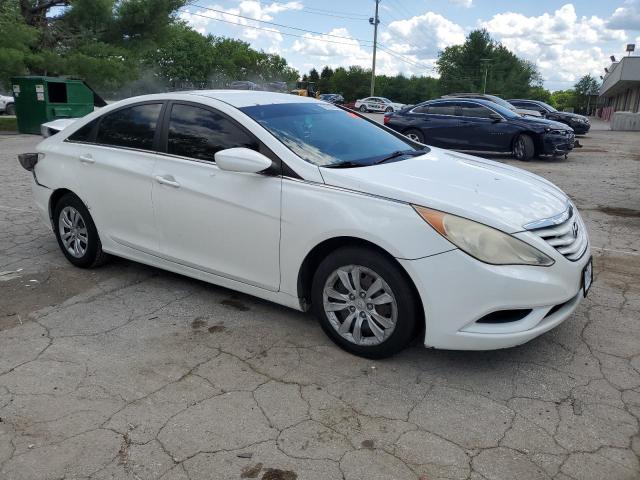 2011 Hyundai Sonata Gls VIN: 5NPEB4AC9BH080209 Lot: 56670684