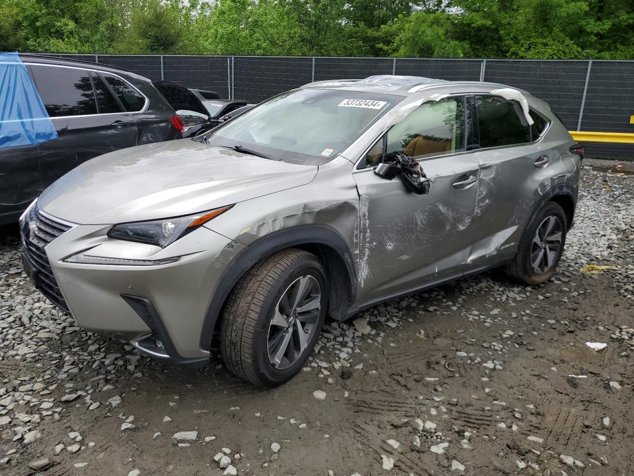 JTJBJRBZ1K2104216 2019 Lexus Nx 300H