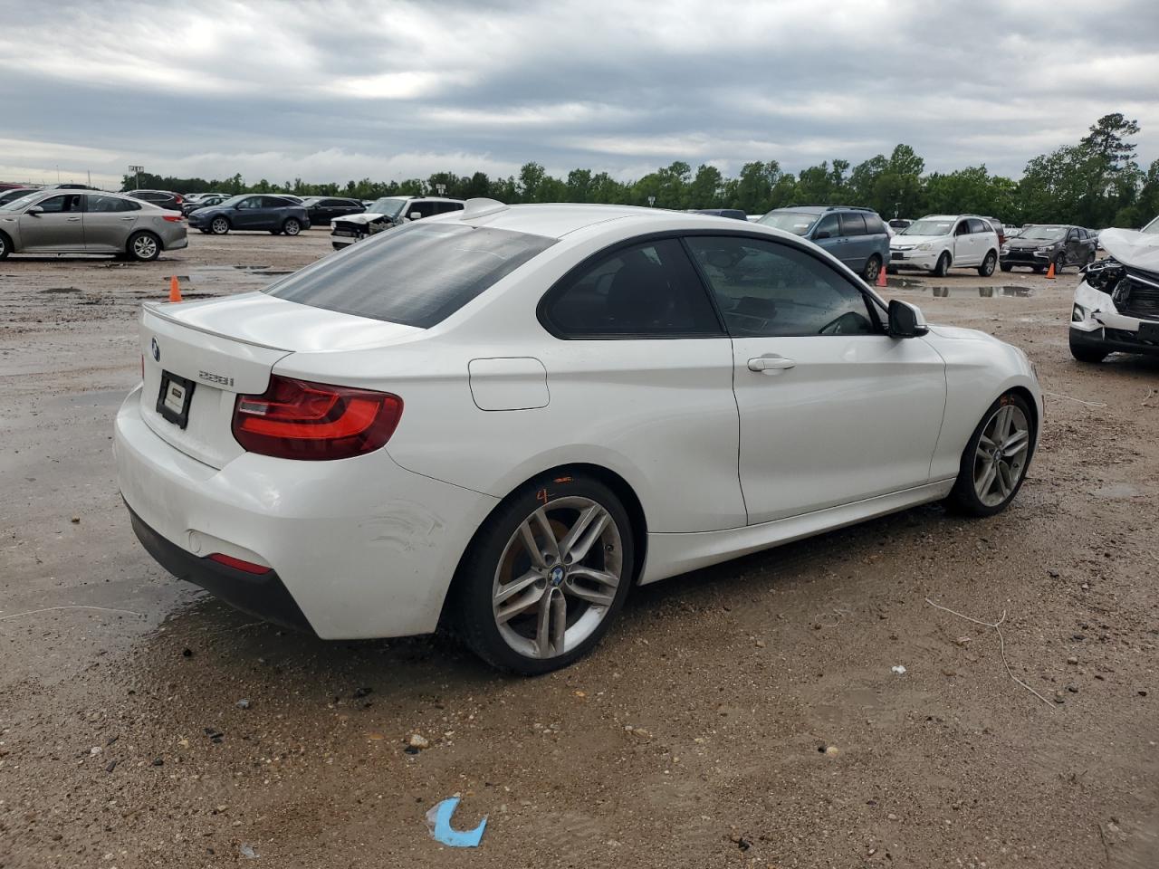 WBA1F9C54GV545014 2016 BMW 228 I Sulev