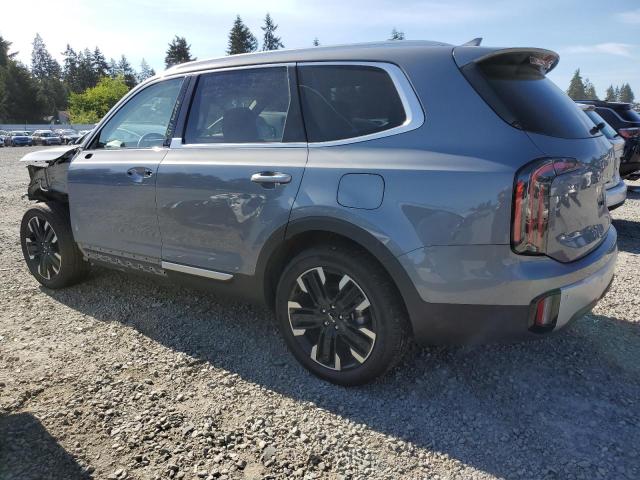 2024 Kia Telluride Sx VIN: 5XYP5DGC7RG422202 Lot: 56656444