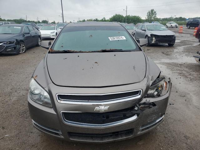 2011 Chevrolet Malibu 1Lt VIN: 1G1ZC5E13BF317471 Lot: 53810974