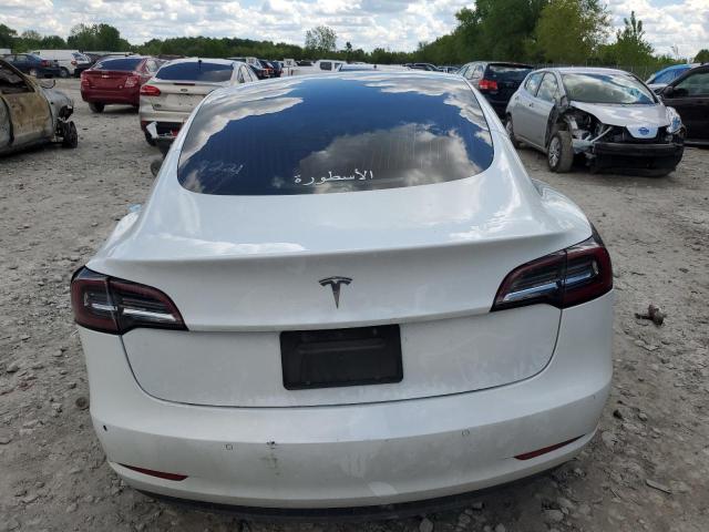 2020 Tesla Model 3 VIN: 5YJ3E1EA1LF737221 Lot: 54344454