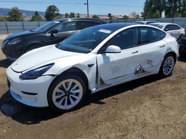 2023 Tesla Model 3 VIN: 5YJ3E1EA1PF460270 Lot: 55395524