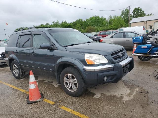 2005 Honda Pilot Ex VIN: 5FNYF18425B017809 Lot: 54371204