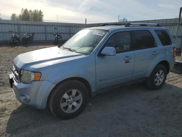 Lot #2517611031 2009 FORD ESCAPE HYB salvage car