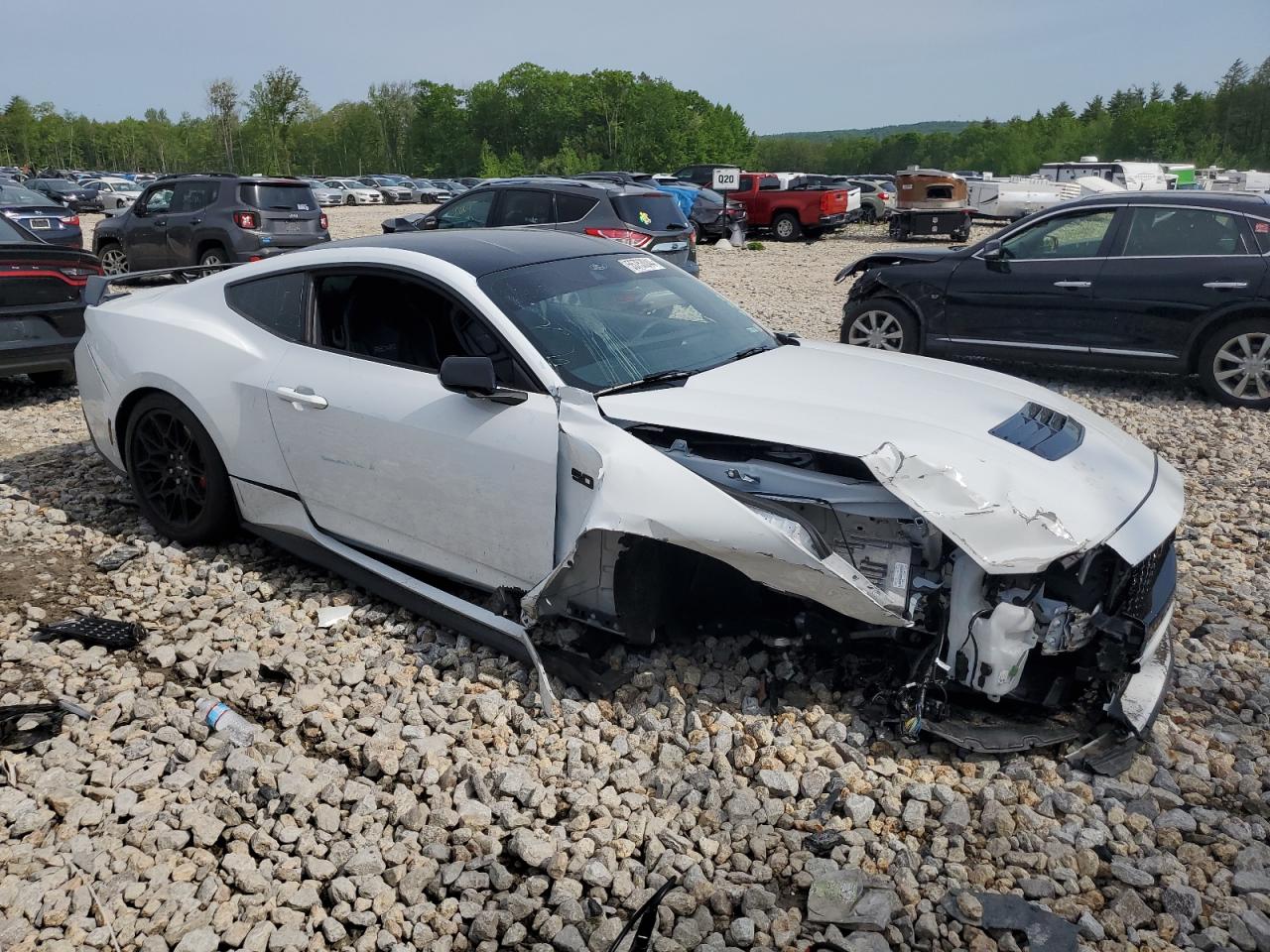 Lot #2902764320 2024 FORD MUSTANG GT