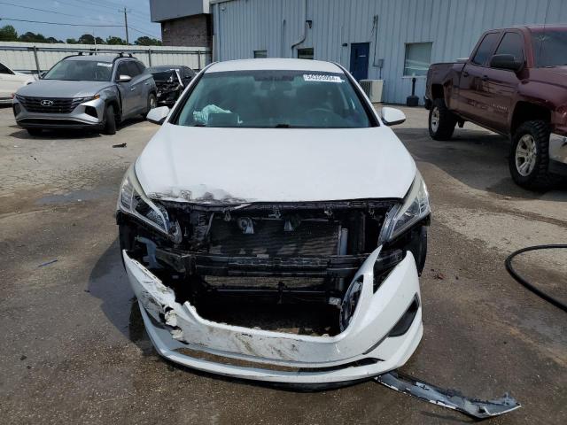 2016 Hyundai Sonata Se VIN: 5NPE24AF9GH285028 Lot: 54355004