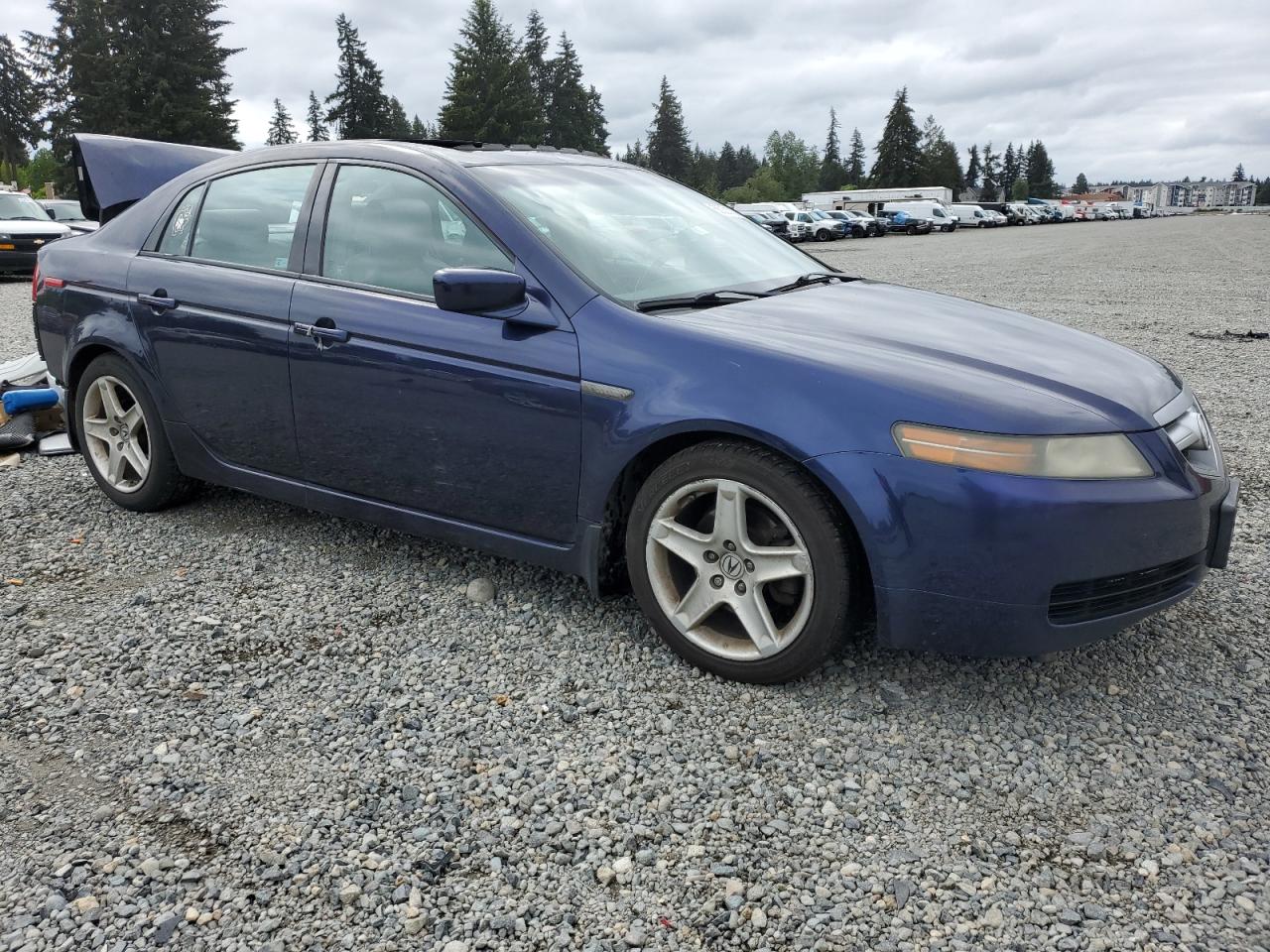 19UUA66296A022593 2006 Acura 3.2Tl