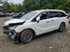 2023 HONDA ODYSSEY EX - 5FNRL6H66PB029136