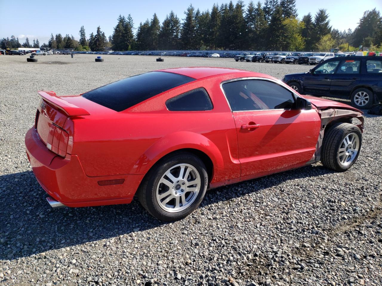 1ZVFT82H255106928 2005 Ford Mustang Gt