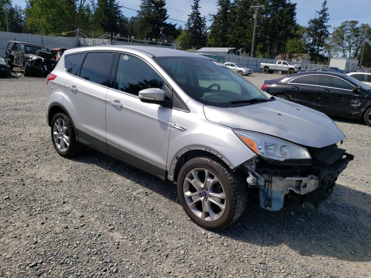 1FMCU0HX1DUD79099 2013 Ford Escape Sel