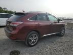 LEXUS RX 350 photo