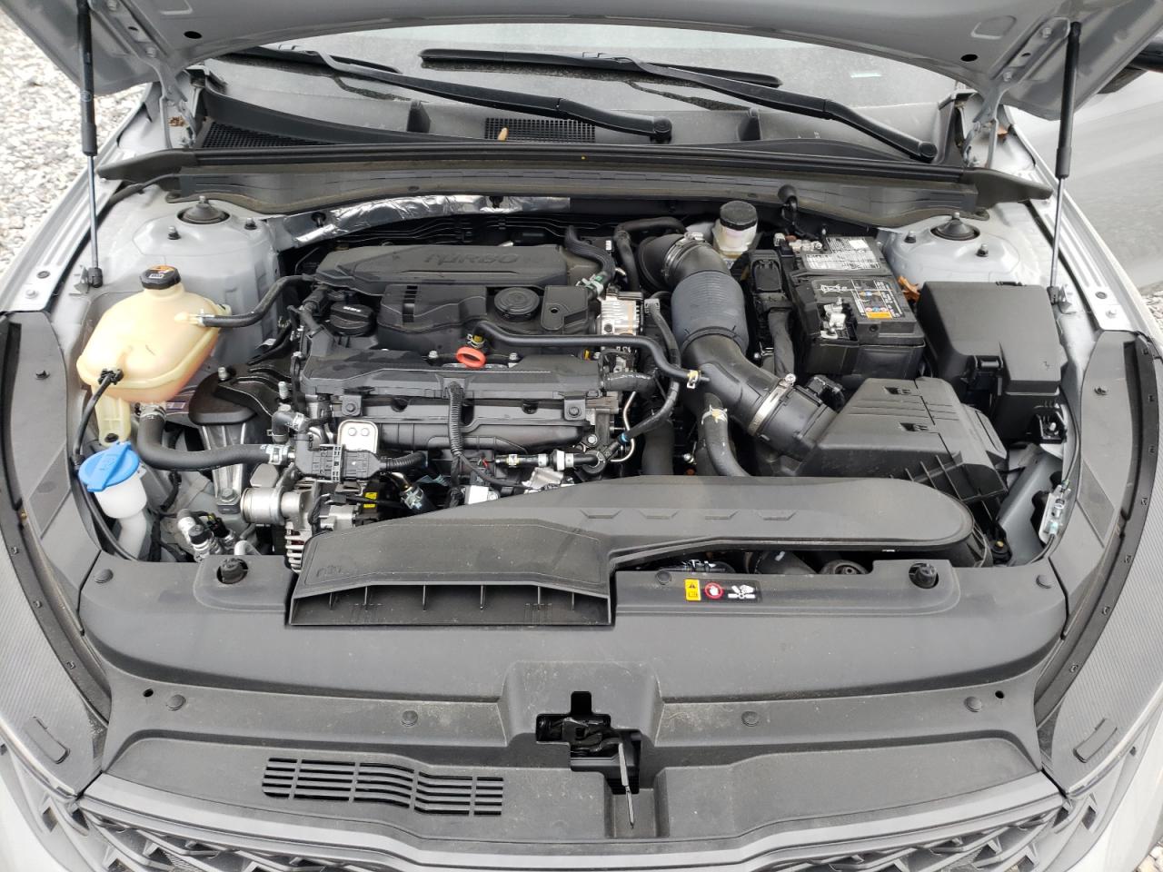 5XXG64J20RG232758 2024 Kia K5 Gt Line