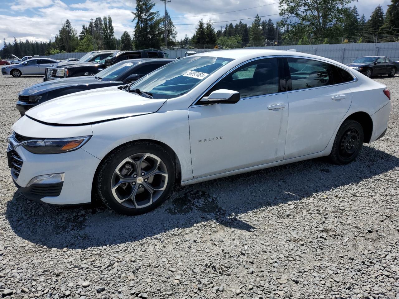 1G1ZD5ST7MF027384 2021 Chevrolet Malibu Lt