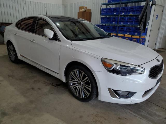 2014 Kia Cadenza Premium VIN: KNALN4D76E5138520 Lot: 54118324