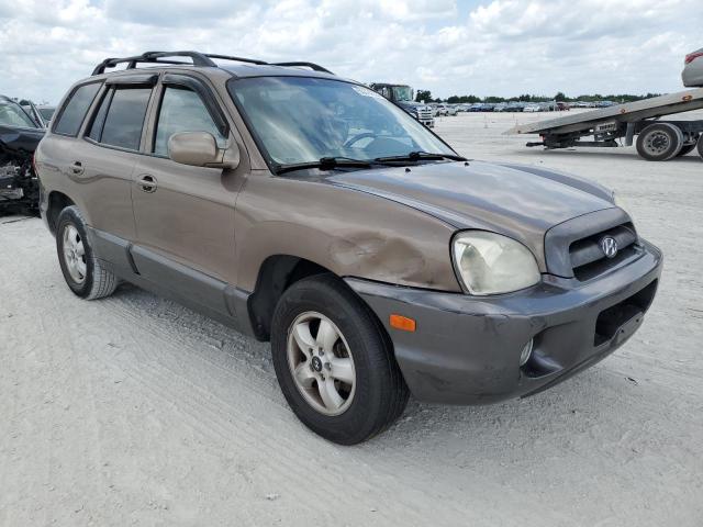 2005 Hyundai Santa Fe Gls VIN: KM8SC13D35U953513 Lot: 55694354