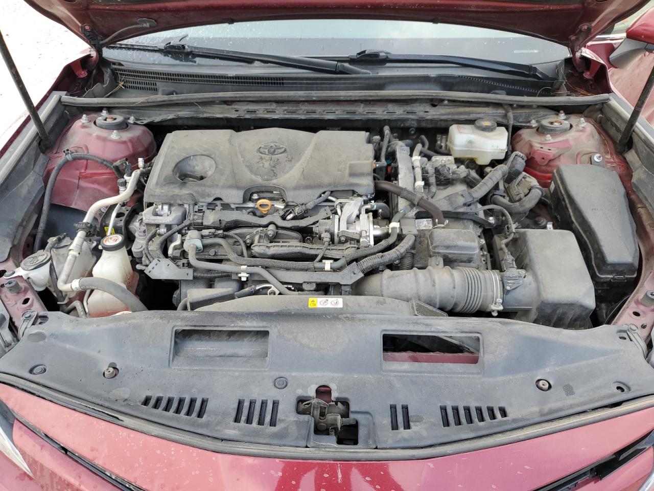 4T1F31AK9LU535456 2020 Toyota Camry Xle