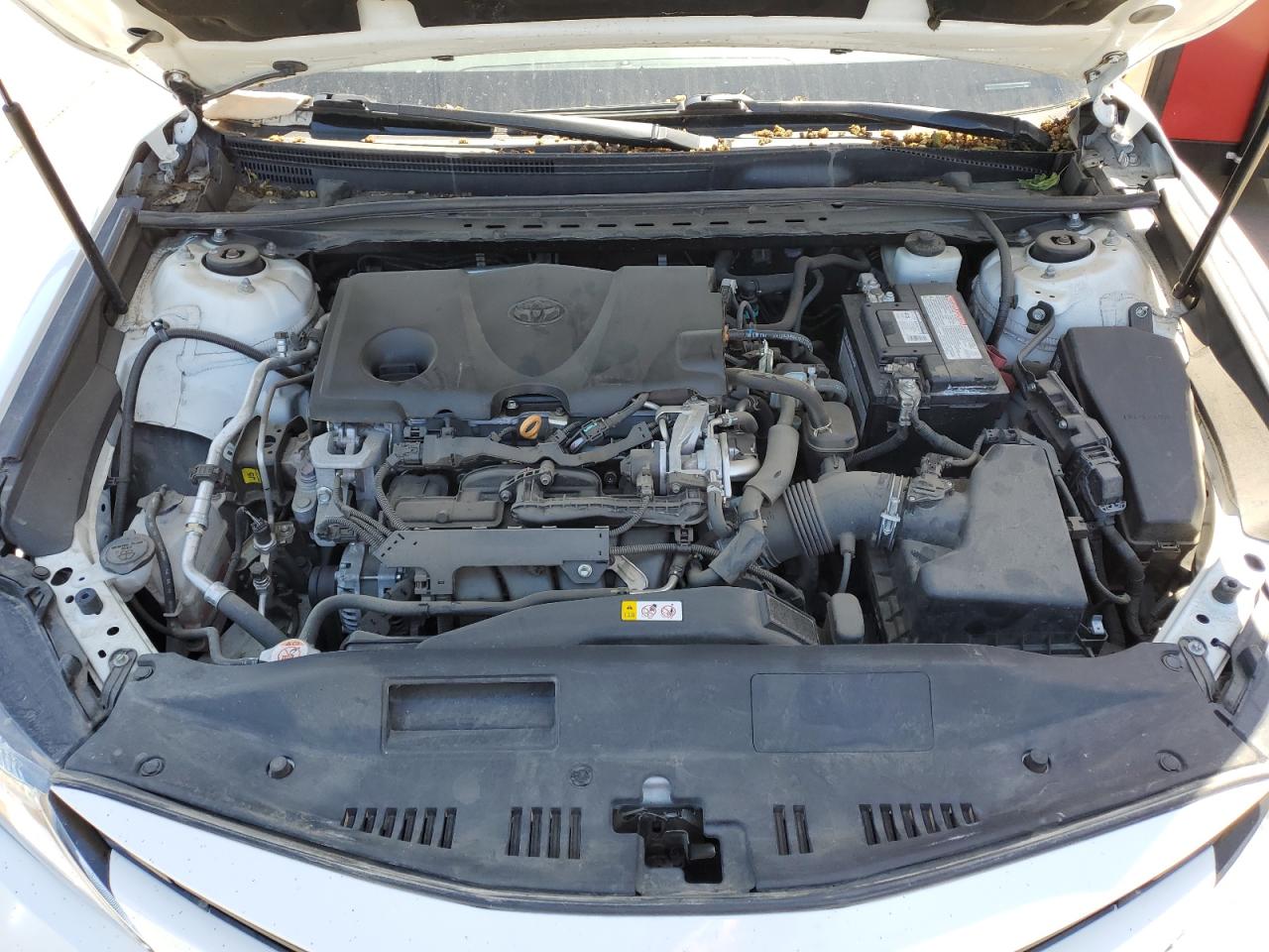 4T1C11AK8LU344569 2020 Toyota Camry Le