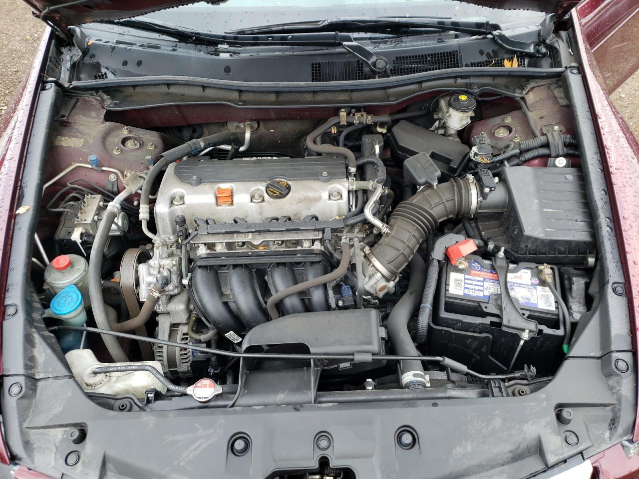 1HGCP2F41BA143102 2011 Honda Accord Lxp