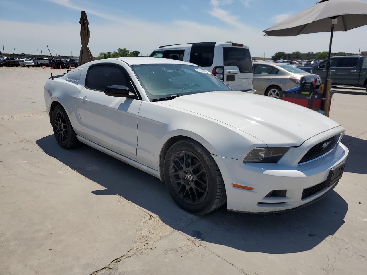 1ZVBP8AM0E5320253 2014 Ford Mustang