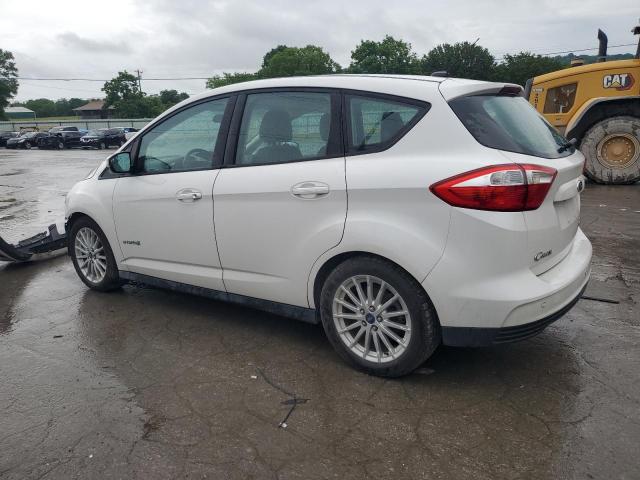 2013 Ford C-Max Se VIN: 1FADP5AU9DL548889 Lot: 55095284