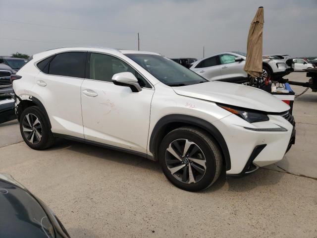 2019 LEXUS NX 300 JTJYARBZ0K2133278