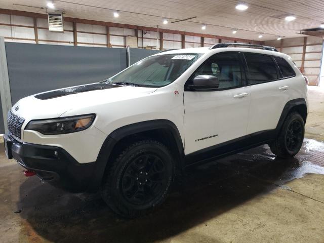 2020 Jeep Cherokee Trailhawk VIN: 1C4PJMBXXLD509345 Lot: 54959484