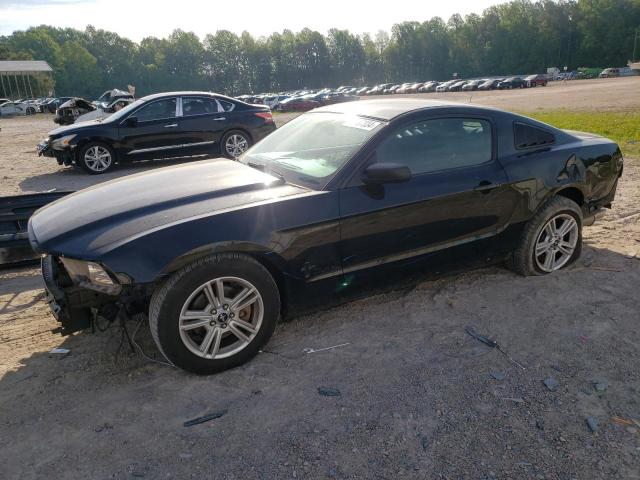 Lot #2509923730 2014 FORD MUSTANG salvage car
