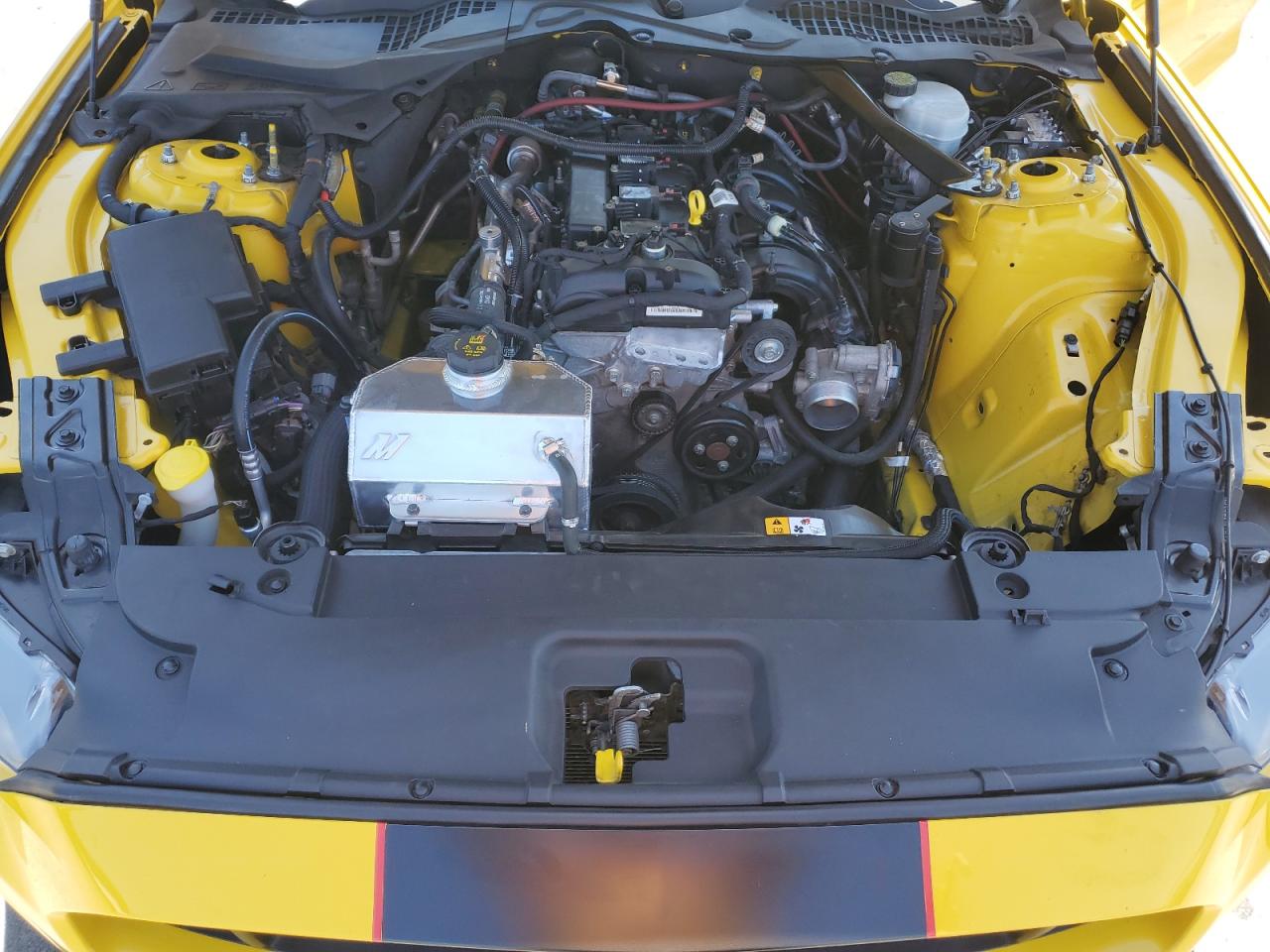 1FA6P8TH9F5351822 2015 Ford Mustang