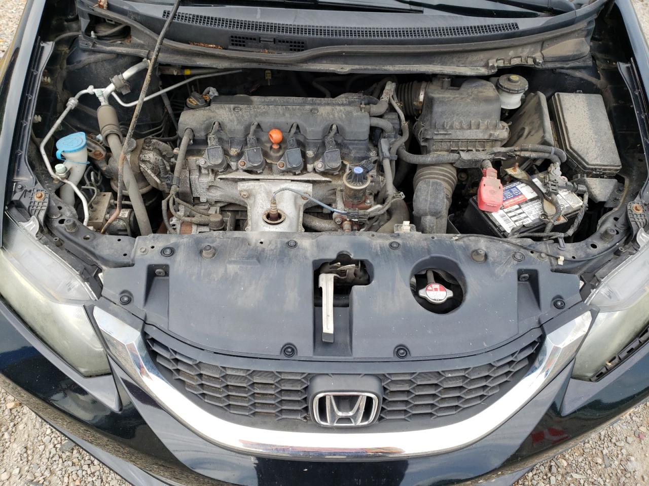 19XFB2F51EE211127 2014 Honda Civic Lx