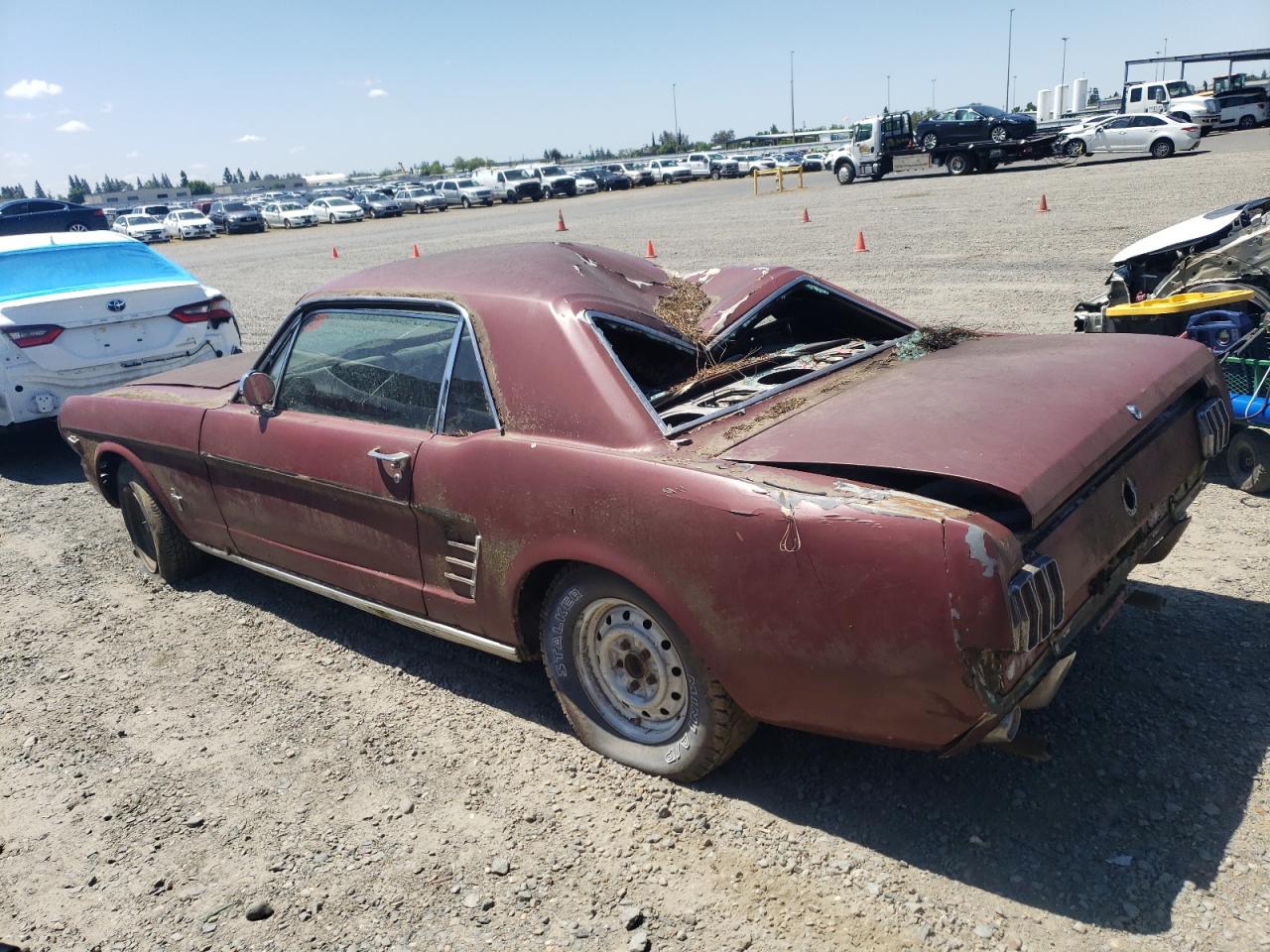 Lot #2522152812 1966 FORD MUSTANG