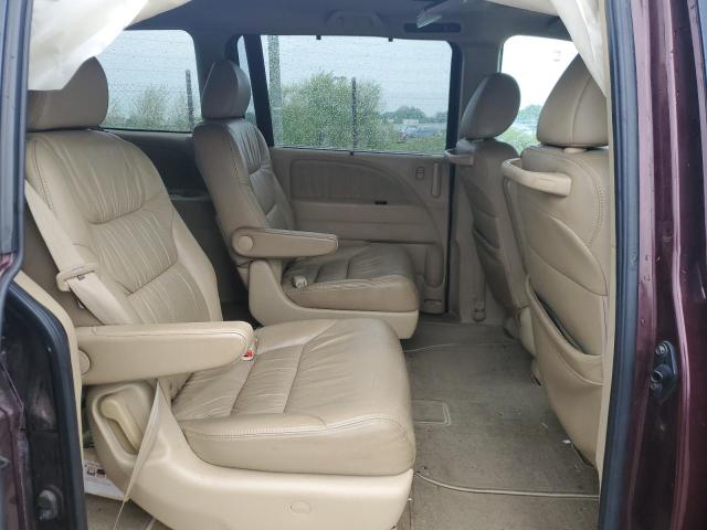 2010 Honda Odyssey Exl VIN: 5FNRL3H61AB038073 Lot: 53956614