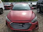 Lot #3024822407 2017 HYUNDAI ELANTRA SE