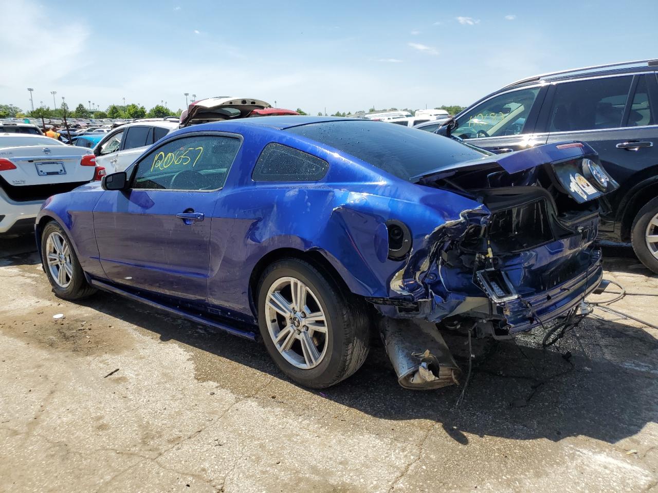 2014 Ford Mustang vin: 1ZVBP8AM6E5216902