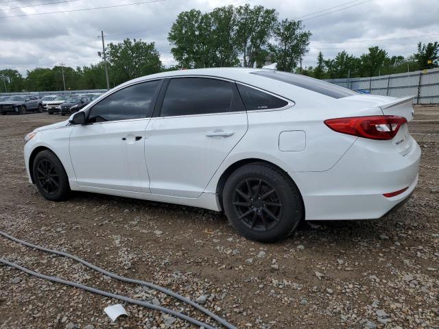 2016 Hyundai Sonata Se VIN: 5NPE24AF5GH300351 Lot: 55285664