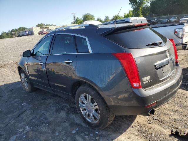 2010 Cadillac Srx Luxury Collection VIN: 3GYFNDEYXAS516761 Lot: 55878914