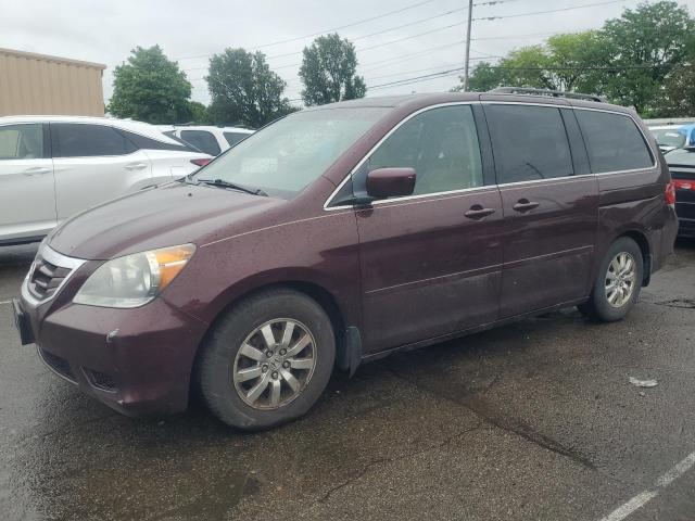 2010 Honda Odyssey Exl VIN: 5FNRL3H78AB080880 Lot: 55083544