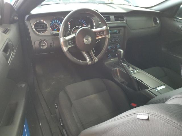 2013 Ford Mustang VIN: 1ZVBP8AM8D5268207 Lot: 56028264