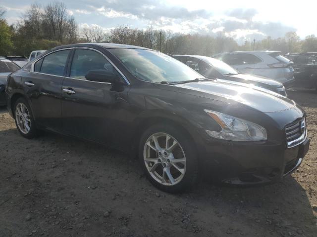 Lot #2506154297 2012 NISSAN MAXIMA S salvage car