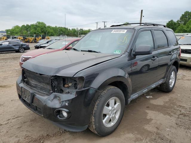 Vin: 1fmcu0d77akd15727, lot: 54883074, ford escape xlt 2010 img_1
