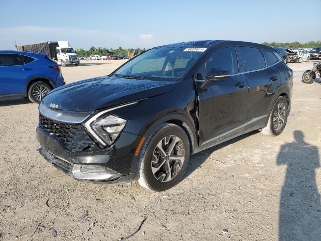 2023 Kia Sportage Ex VIN: 5XYK33AF8PG031442 Lot: 56670014